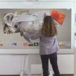 LES PROJECTEURS INTERACTIFS