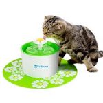 Les avantages de la fontaine à eau pour chat