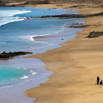 Apprendre à surfer lors de vacances à Hossegor