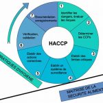 Financement de la formation HACCP par Pôle emploi