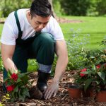 Un jardinier pour entretenir son espace vert : quel budget prévoir?